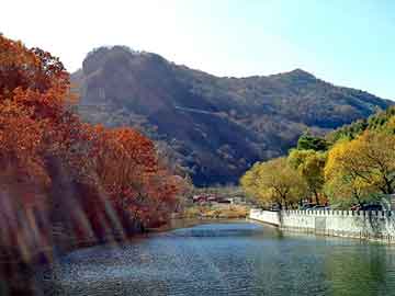 新澳门二四六天天彩，水泥地面裂缝处理